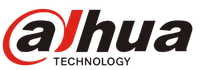 Dahua 